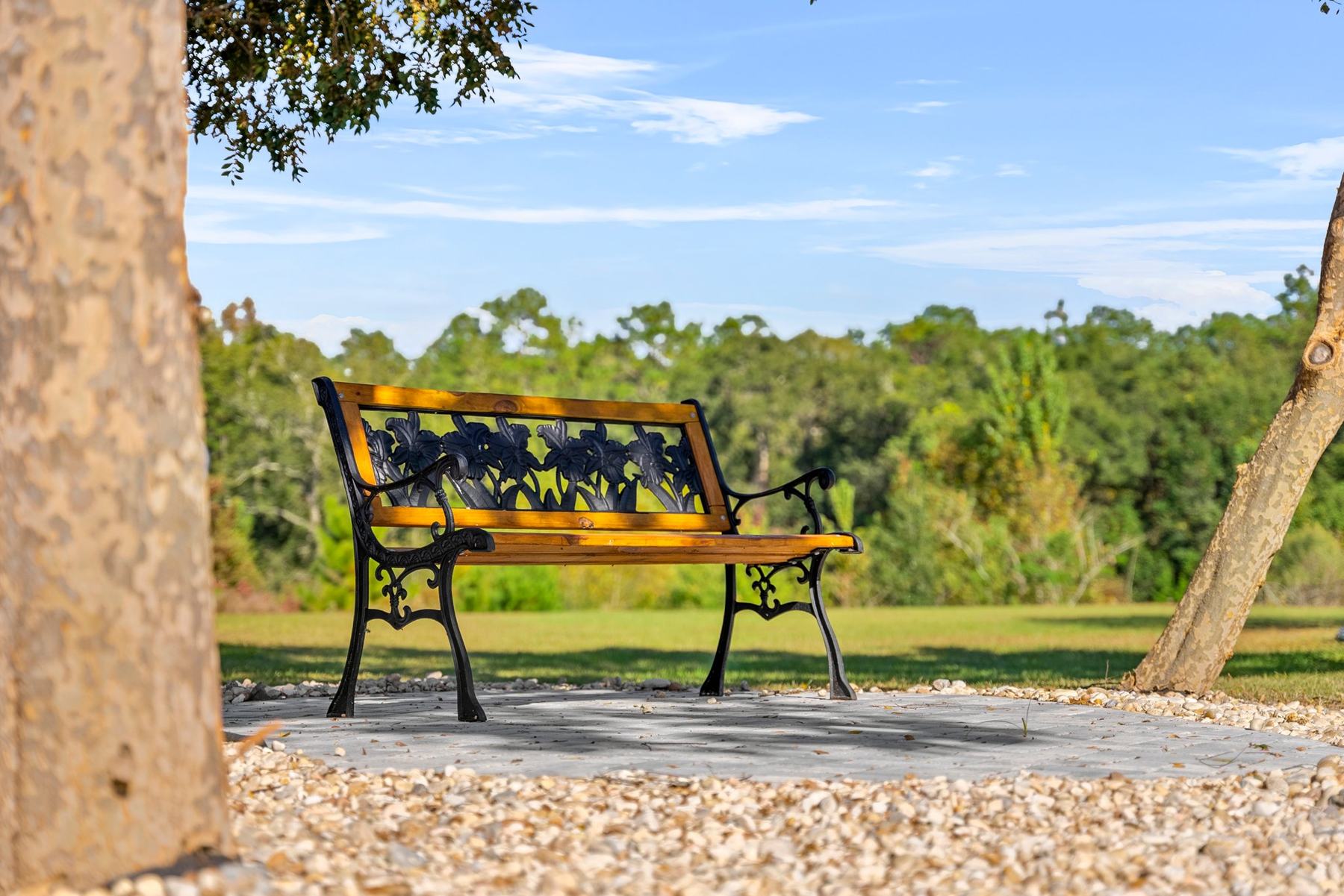 Bench overlooking the open field and trees